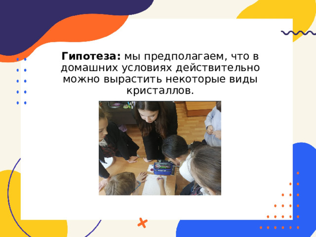 Гипотеза: мы предполагаем, что в домашних условиях действительно можно вырастить некоторые виды кристаллов. 