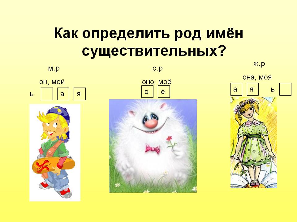 Имя существительное в картинках