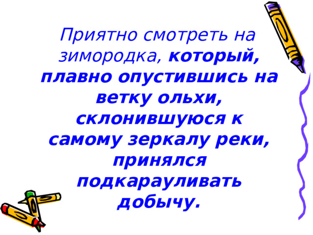  Приятно смотреть на зимородка, который, плавно опустившись на ветку ольхи, склонившуюся к самому зеркалу реки, принялся подкарауливать добычу.    