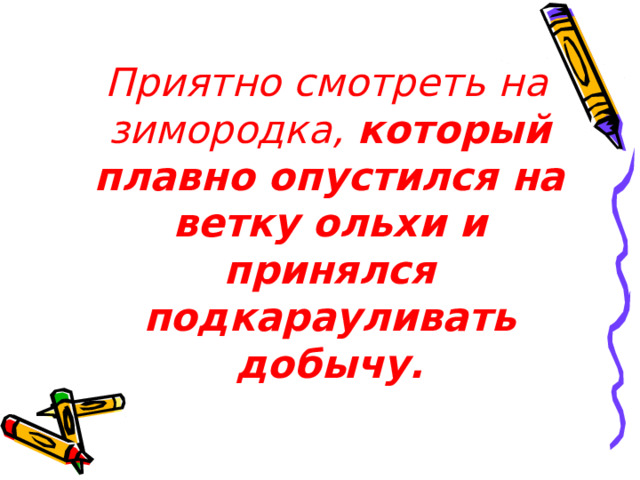  Приятно смотреть на зимородка, который плавно опустился на ветку ольхи и принялся подкарауливать добычу.    