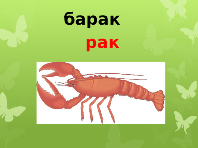 барак рак 