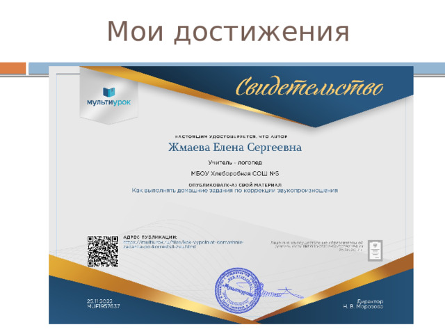 Мои достижения 