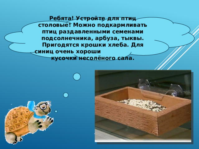 Если раздавить семя подсолнечника. Как раздавить семечки арбуза для птиц. Тест по окружающему миру 1 класс как зимой помочь птицам