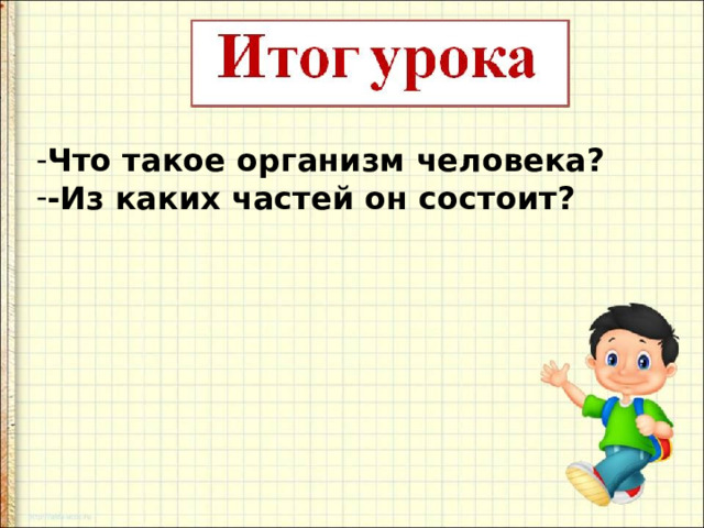 Что такое организм