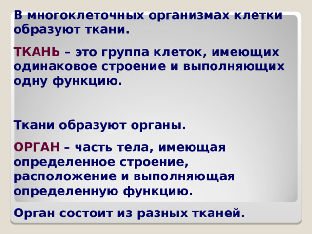 В многоклеточных организмах клетки образуют ткани. ТКАНЬ – это группа клеток, имеющих одинаковое строение и выполняющих одну функцию.  Ткани образуют органы. ОРГАН – часть тела, имеющая определенное строение, расположение и выполняющая определенную функцию. Орган состоит из разных тканей.  