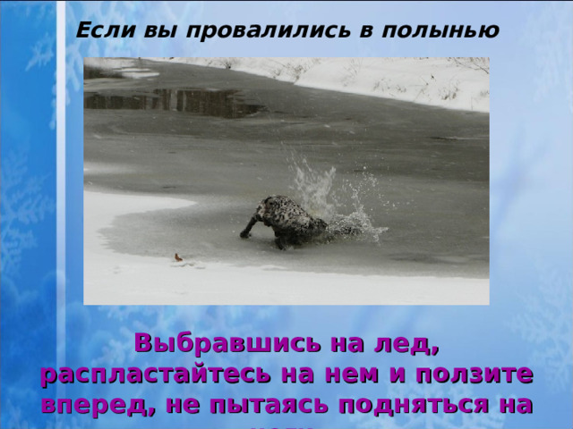 Если вы провалились в полынью Выбравшись на лед, распластайтесь на нем и ползите вперед, не пытаясь подняться на ноги  