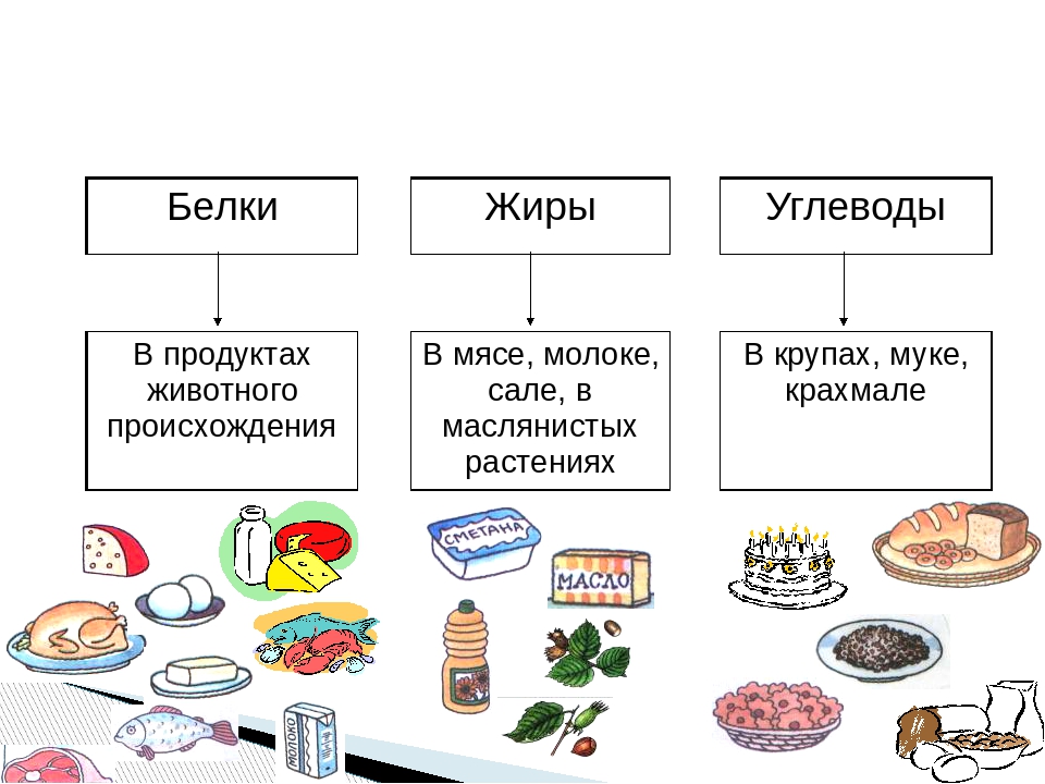 Продукты содержащие белки жиры и углеводы таблица