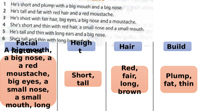 Height Hair Build Facial features A big mouth, a big nose, a a red moustache, big eyes, a small nose, a small mouth, long ears Red, fair, long, brown Plump, fat, thin Short, tall 
