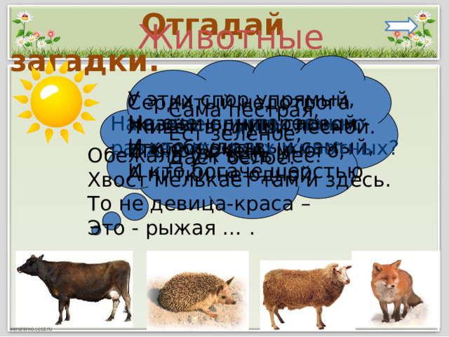 Животные  Отгадай загадки. У этих спор упрямый, Но очень интересный - И кто кудрявый самый, И кто богаче шерстью . Сердитый недотрога Живёт в глуши лесной. Иголок очень много, А нитки не одной. Сама пёстрая, Ест зелёное, Даёт белое. Назови одним словом На какие группы можно разделить этих животных? эти объекты. Обежала уж весь лес. Хвост мелькает там и здесь. То не девица-краса – Это - рыжая … . 