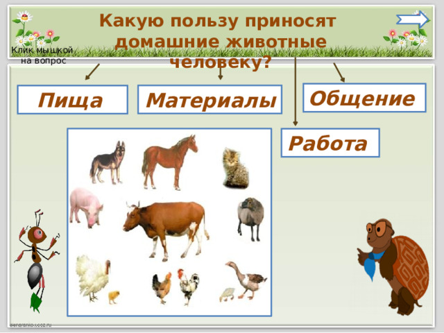 Какую пользу приносят домашние животные человеку? Клик мышкой  на вопрос Общение  Материалы  Пища Работа 