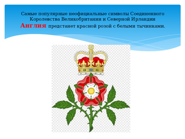 Самые популярные неофициальные символы Соединенного Королевства Великобритании и Северной Ирландии  Англия  предстанет красной розой с белыми тычинками.   