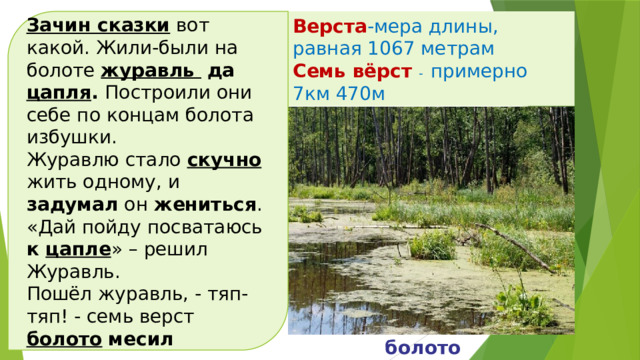 Верста -мера длины, равная 1067 метрам Зачин сказки вот какой. Жили-были на болоте журавль  да цапля . Построили они себе по концам болота избушки. Семь вёрст - примерно 7км 470м Журавлю стало скучно жить одному, и задумал он жениться . «Дай пойду посватаюсь к цапле » – решил Журавль. Пошёл журавль, - тяп-тяп! - семь верст болото  месил  болото 