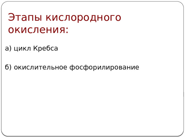 Этапы кислородного окисления: а) цикл Кребса б) окислительное фосфорилирование 
