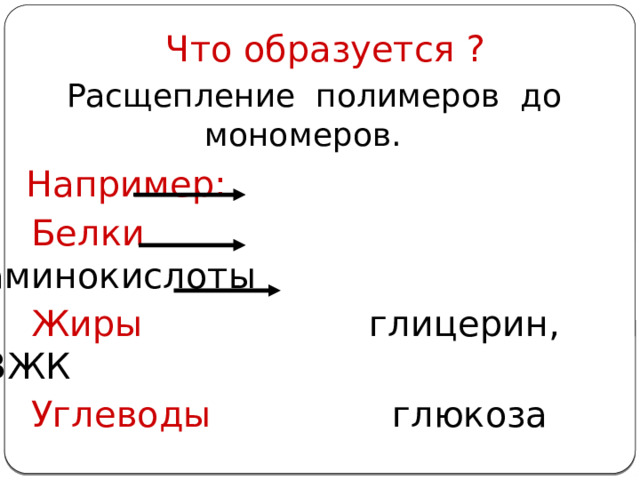 Что образуется ?  Расщепление полимеров до мономеров.  Например:  Белки аминокислоты  Жиры глицерин, ВЖК  Углеводы глюкоза Что происходит при расщеплении  всех этих веществ?  