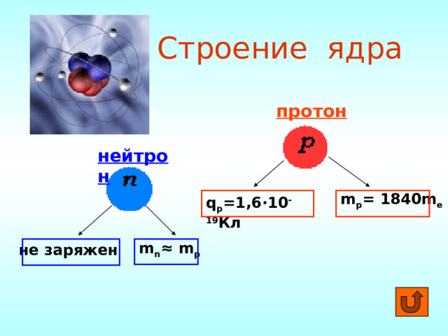     Строение ядра протон нейтрон m p = 1840m e q p =1,6 ·10 -19 Кл m n ≈ m p не заряжен 