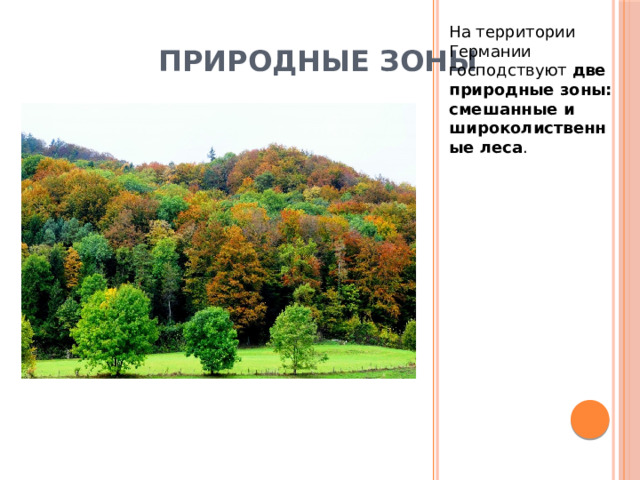 На территории Германии господствуют  две природные зоны: смешанные и широколиственные леса . Природные зоны 