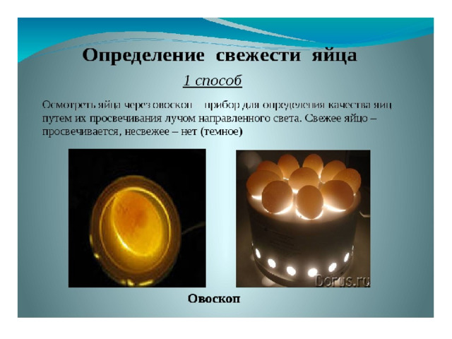 Проверка яиц на свежесть в воде фото