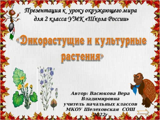 Автор: Васюкова Вера Владимировна учитель начальных классов МКОУ Шелеховская СОШ 2022г 