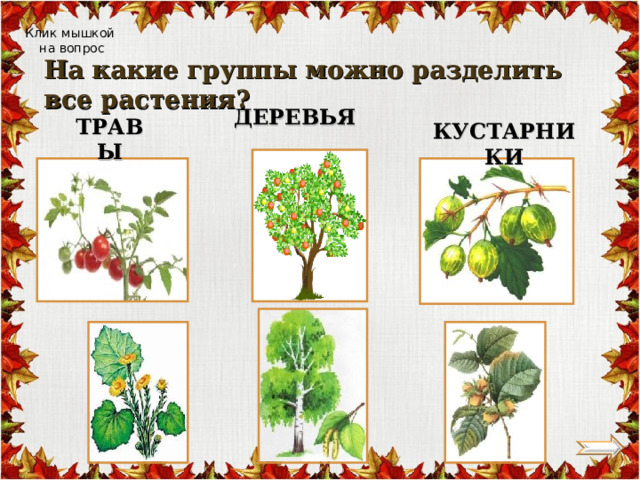 Тест окружающий мир дикорастущие и культурные растения