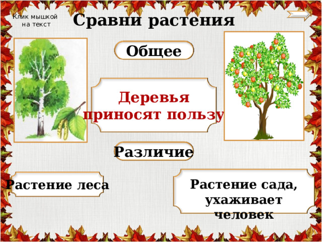Сравни растения Клик мышкой  на текст Общее Деревья приносят пользу Различие Растение сада, ухаживает человек Растение леса 