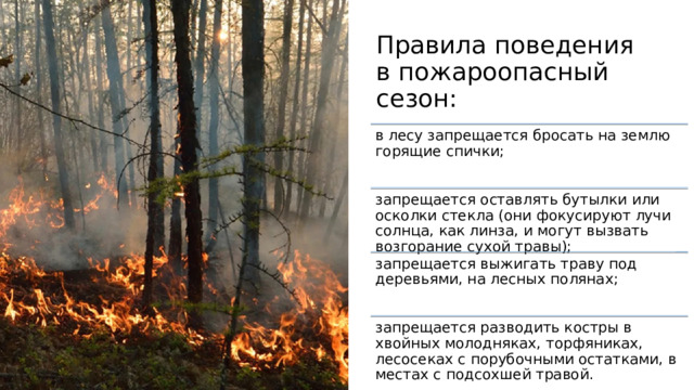 Правила поведения в пожароопасный сезон: в лесу запрещается бросать на землю горящие спички; запрещается оставлять бутылки или осколки стекла (они фокусируют лучи солнца, как линза, и могут вызвать возгорание сухой травы); запрещается выжигать траву под деревьями, на лесных полянах; запрещается разводить костры в хвойных молодняках, торфяниках, лесосеках с порубочными остатками, в местах с подсохшей травой. 