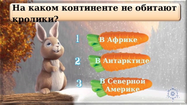 На каком континенте не обитают кролики? В Африке В Антарктиде В Северной Америке 