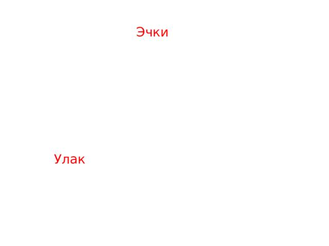 Эчки Улак 