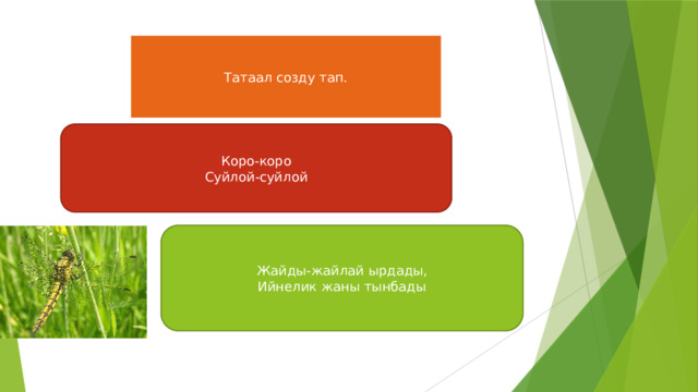 Татаал созду тап. Коро-коро Суйлой-суйлой Жайды-жайлай ырдады, Ийнелик жаны тынбады 