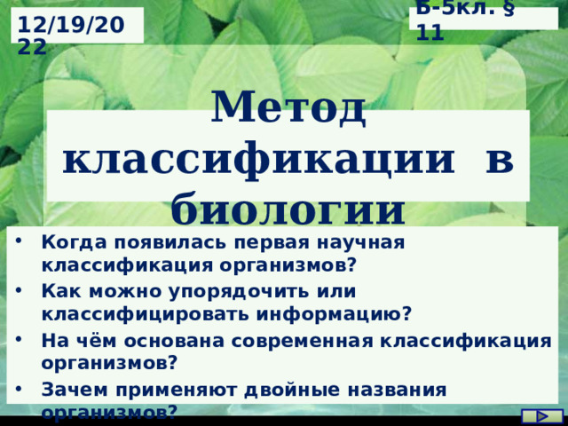 Б-5кл. § 11 12/19/2022 Метод классификации в биологии Когда появилась первая научная классификация организмов? Как можно упорядочить или классифицировать информацию? На чём основана современная классификация организмов? Зачем применяют двойные названия организмов? 