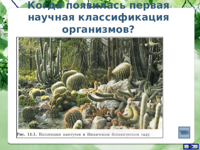  Когда появилась первая научная классификация организмов? 