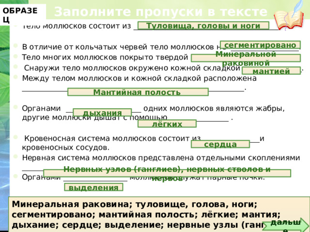 Заполните пропуски в тексте стенки тела гидры состоят из