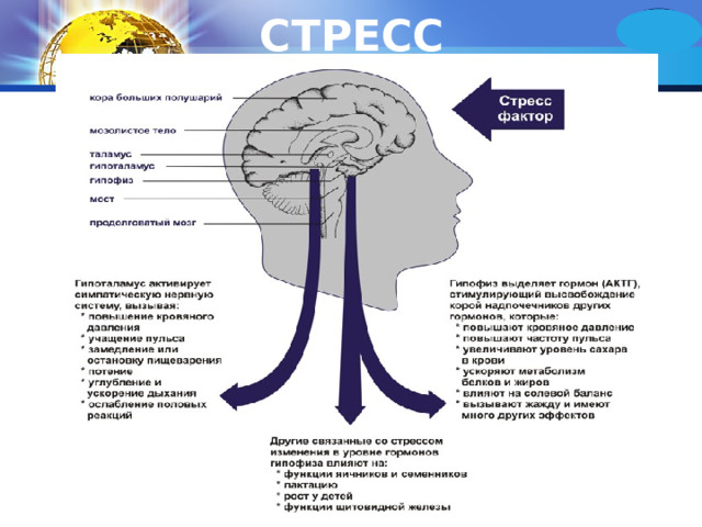 СТРЕСС 