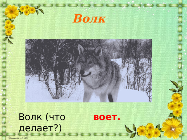 Волк Волк (что делает?) воет. 