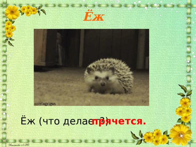 Ёж Ёж (что делает?) прячется. 