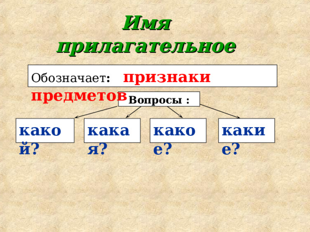 Имя  прилагательное Обозначает :  признаки предметов  Вопросы : какой? какая? какое? какие? 