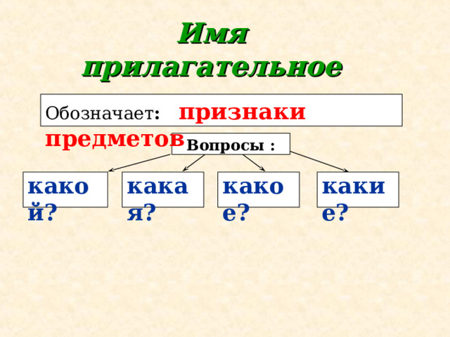 Имя  прилагательное Обозначает :  признаки предметов  Вопросы : какой? какая? какое? какие?     