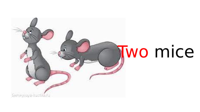 Two mice 