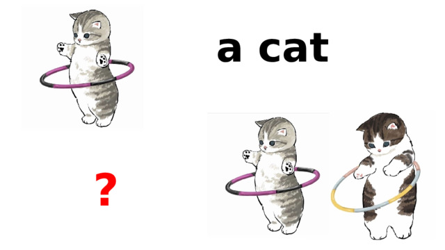 a cat ? 