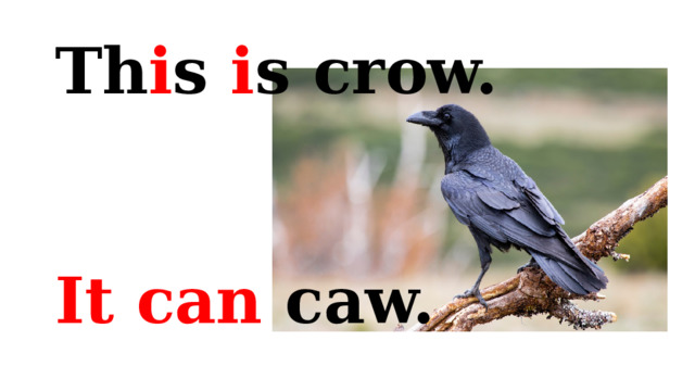 Th i s i s crow.   It can caw.  