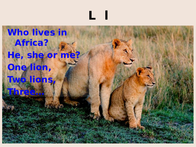 L l Who lives in Africa? He, she or me? One lion, Two lions, Three… http://4.bp.blogspot.com/_-pR0Mxtw2xk/TAqsJyU8dQI/AAAAAAAAAHg/bdiZlXg0Xhg/S730/lions-males-botswana_612_600x450.jpg http://kakadu.509.com1.ru/zooclub/wild/628.jpg http://animals.catchsmile.com/wp-content/uploads/2011/06/Lion-24.jpg http://www.yesterland.com/images-sidetrips/lioncountry_lions.jpg http://www.perryimages.com/wp-content/uploads/2010/08/DSC_4582.jpg  