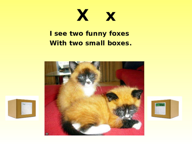 X x I see two funny foxes With two small boxes. http://1.bp.blogspot.com/-IhL3lJ6JO_M/TlrgWf57VeI/AAAAAAAAD5I/n3C8TW58l20/s1600/Funny+fox+images2.jpg http://xaxor.com/images/funny-foxes-part2-/funny-foxes-part2-08.jpg http://www.theprintedbagshop.co.uk/css/images/2box.jpg  