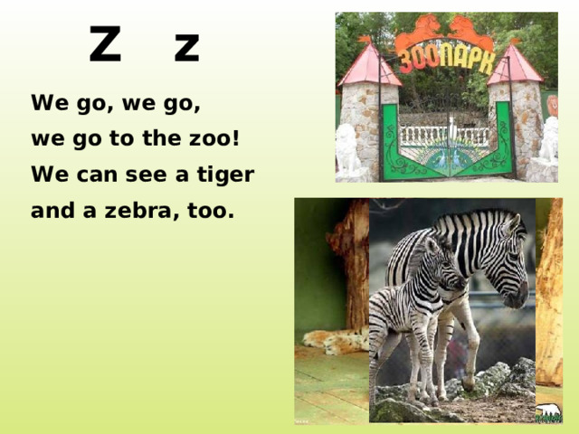 Z z We go, we go, we go to the zoo! We can see a tiger and a zebra, too. http://mrart.ru/imagesTovar/big/zoopark2.jpg http://walkspb.ru/images/stories/articles/zoopark.jpg http://www.dsbw.ru/public/site/images/photo/catalog/partition/info-section/1639.jpg http://veskrym.ru/uploads/posts/2008-05/1211905639_zoo.jpg  