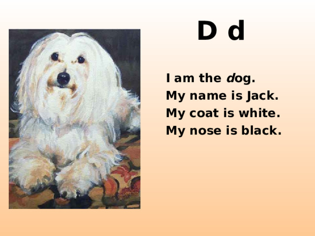 D d I am the d og. My name is Jack. My coat is white. My nose is black.  http://startledsheep.co.uk/images/white_dog.jpg  