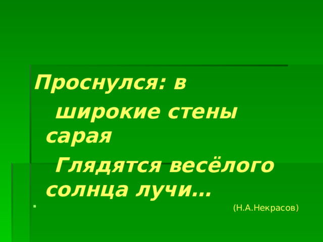 Проснулся: в  широкие стены сарая  Глядятся весёлого солнца лучи…  (Н.А.Некрасов )  