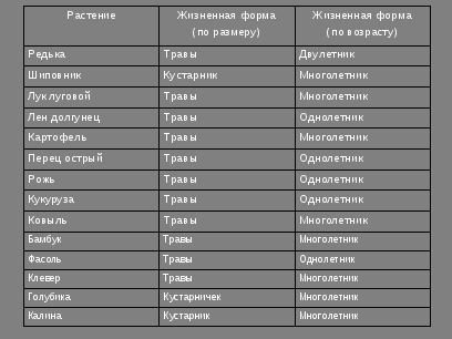 Разработка урока 6 класса по теме: "Жизненные формы растений"