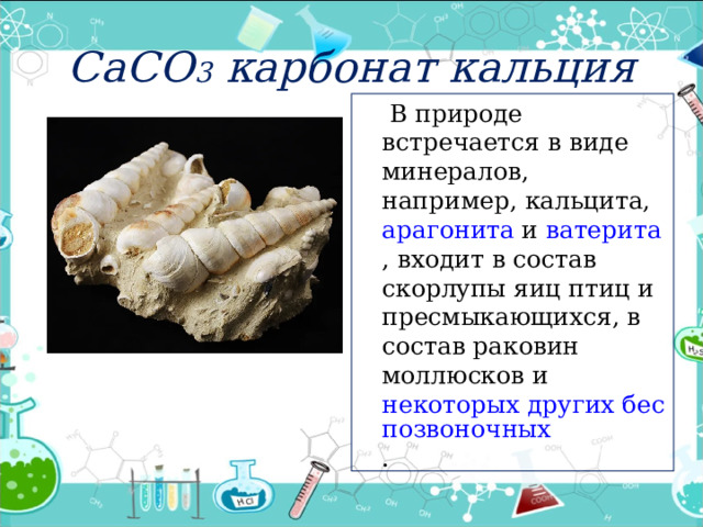 СаСО 3 карбонат кальция  В природе встречается в виде минералов, например,  кальцита ,  арагонита  и  ватерита , входит в состав скорлупы яиц птиц и пресмыкающихся, в состав раковин моллюсков и  некоторых других беспозвоночных .   
