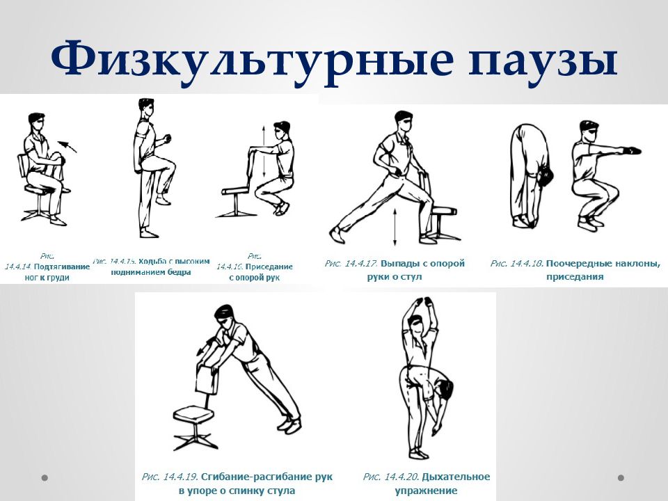 Определить правильную очередность подбора упражнений для вводной гимнастики типовая схема