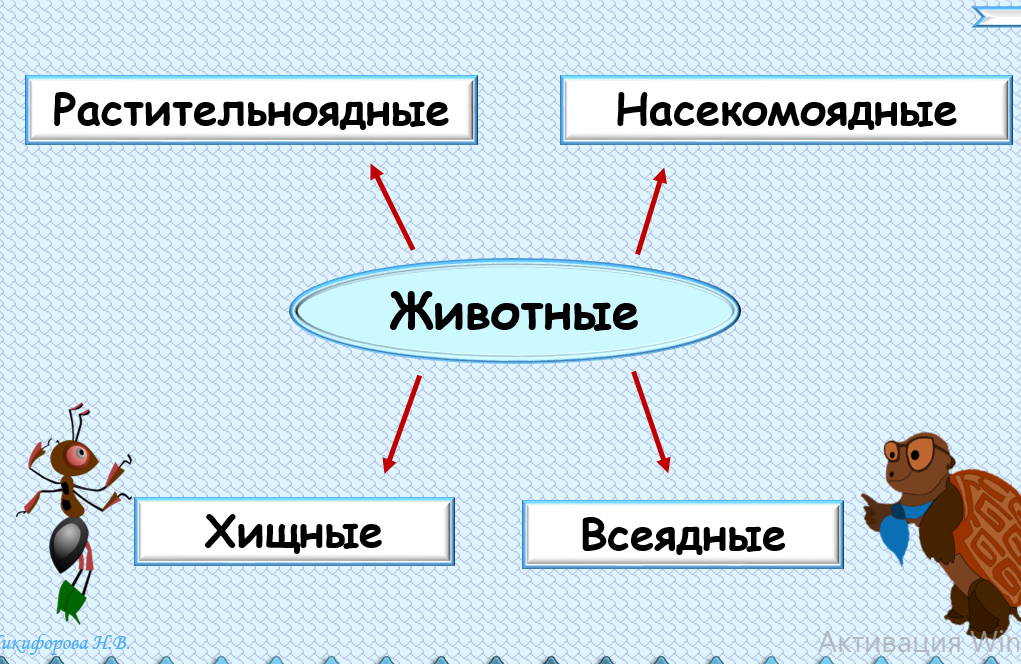 Новый класс животных. Группы животных по типу питания. Классификация по полу животных. Царство зверей подклассы. Классификация животных от меньшей к большей.