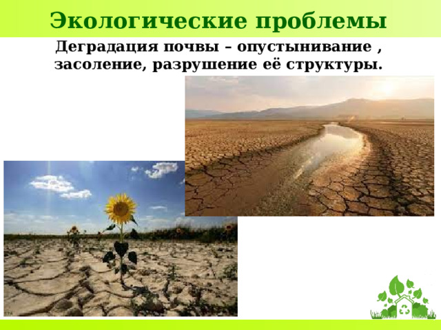 Экологические проблемы Деградация почвы – опустынивание , засоление, разрушение её структуры. 