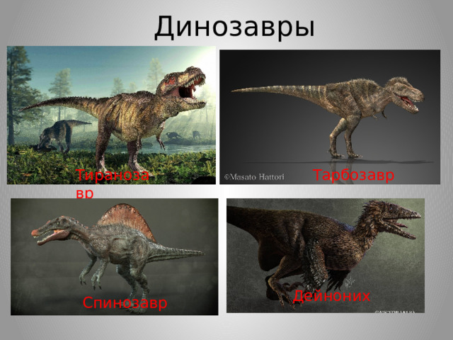 Динозавры Тиранозавр Тарбозавр   Дейноних Спинозавр 